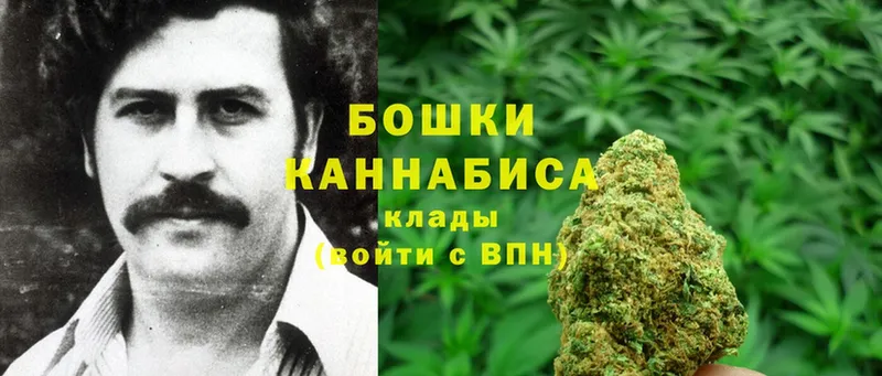 Каннабис Ganja  Жердевка 